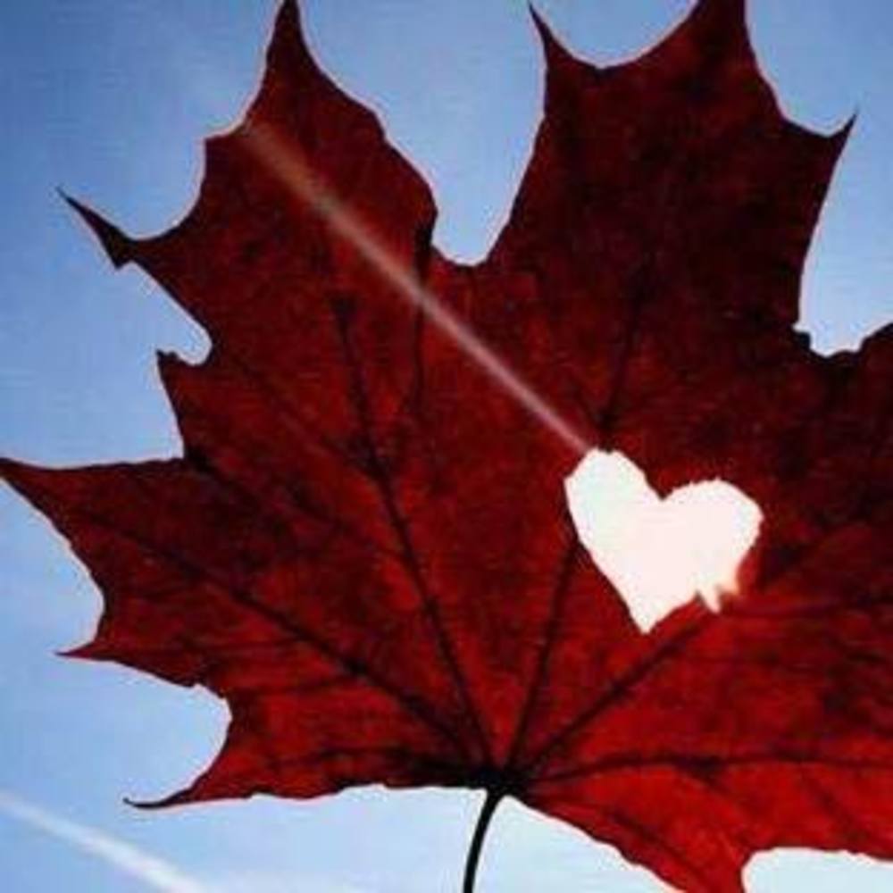 Meet your Posher, Angel